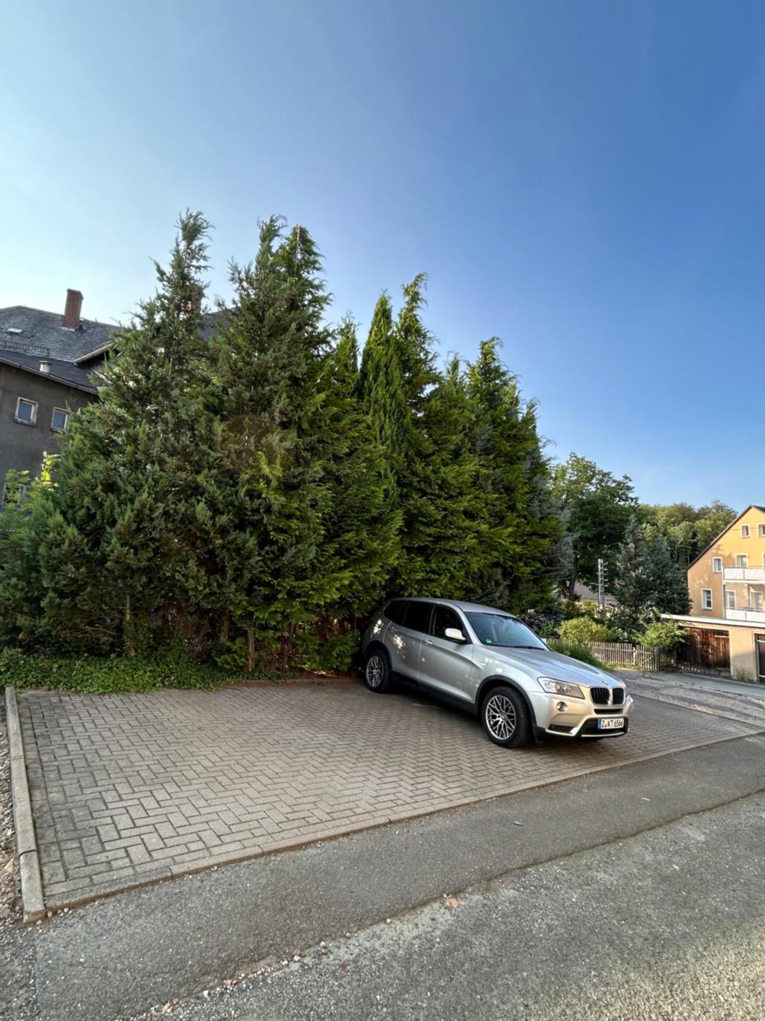 Geraeumige Im Gruenen Lichtenstein (Saxony)